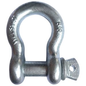 Anchor Shackle: Screw Pin