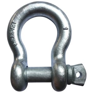 Anchor Shackle: Screw Pin