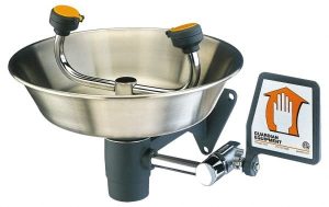 Wall Mount, Stainless Steel Bowl, Eyewash Station