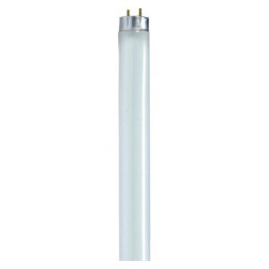 Lamps & Light Bulbs; Lamp Style: Tubular ; Lamp Type: T8 ; Lamp Technology: Fluorescent ; Base Style: Medium Bi-Pin ; Lamp Start Type: Instant ; Lumens: 2950