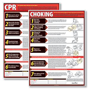 ComplyRight CPR And Choking Poster Bundle, English, 18" x 24", English