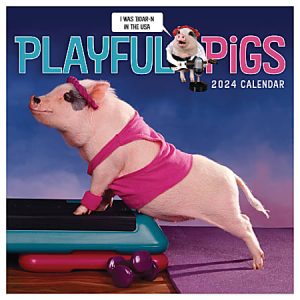 2024 TF Publishing Animals Monthly Mini Wall Calendar, 7® x 7®, Play Pigs, January To December