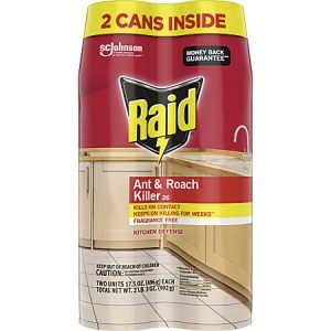 Raid Ant & Roach Killer Spray, Fragrance-Free, 17.5 Oz, Pack Of 2