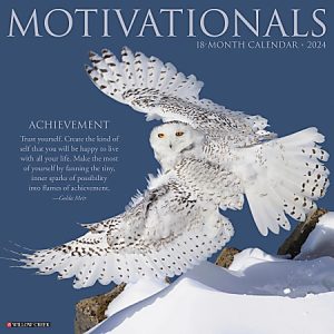 2024 Willow Creek Press Inspirational Monthly Wall Calendar, 12" x 12", Motivationals, January To December
