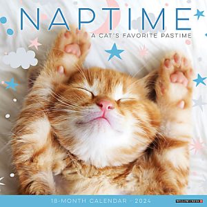 2024 Willow Creek Press Animals Monthly Wall Calendar, 12" x 12", Naptime Cats And Kittens, January To December