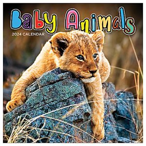 2024 TF Publishing Animals Monthly Mini Wall Calendar, 7 x 7, Baby Animals, January To December