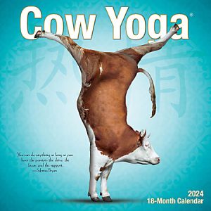 2024 Willow Creek Press Scenic Monthly Mini Wall Calendar, 7® x 7®, Cow Yoga, January To December