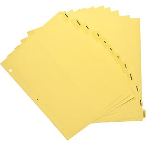 Sparco Monthly Clear Plastic Index Dividers, 8 1/2" x 11", January-December, Buff