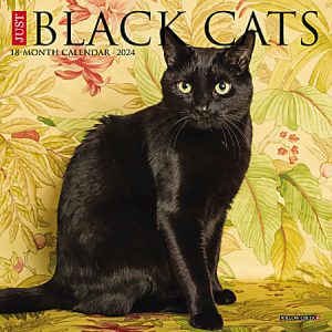 2024 Willow Creek Press Scenic Monthly Mini Wall Calendar, 7 x 7, Black Cats, January To December