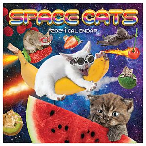 2024 TF Publishing Humor Monthly Mini Wall Calendar, 7 x 7, Space Cats, January To December