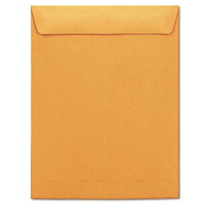 Brown manila envelope with a closed flap, isolated on a white background.