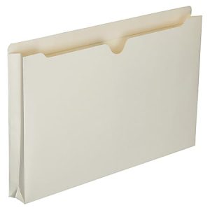 Cream-colored expandable file folder with tabbed edge, standing upright on a white background.