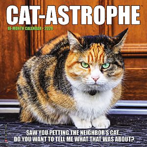 2024 Willow Creek Press Scenic Monthly Mini Wall Calendar, 7 x 7, Cat Memes, January To December