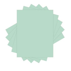 Xerox Vitality Pastel Color Multi-Use Printer & Copier Paper, Letter Size (8 1/2" x 11"), 5000 Total Sheets, 20 Lb, FSC Certified, 30% Recycled, Green, 500 Sheets Per Ream, Case Of 10 Reams
