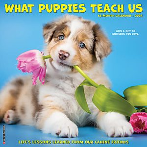 Puppy with a pink tulip in its mouth on a calendar cover titled "What Puppies Teach Us" for 2024.