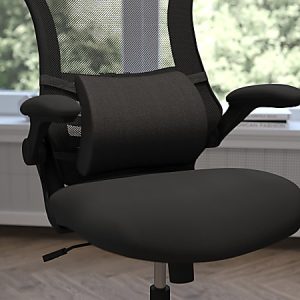 Black ergonomic office chair with mesh backrest, adjustable armrests, and lumbar support, near a window with trees visible.
