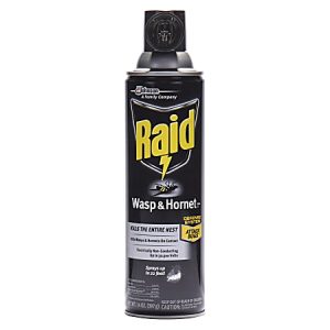Raid Wasp & Hornet spray can, marked for killing entire nests, featuring a black design with yellow and white text.
