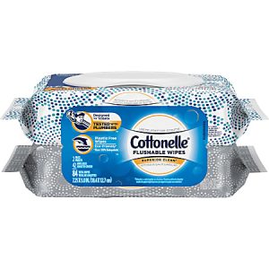 Kimberly-Clark Professional Cottonelle Fresh Care Flushable Wet Wipes, 42 Wipes Per Pouch, Pack Of 2 Pouches