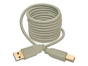 Tripp Lite 6ft USB 2.0 Hi-Speed A/B Cable M/M 28/24 AWG 480 Mbps Beige 6' - USB cable - USB (M) to USB Type B (M) - USB 2.0 - 6 ft - molded - beige